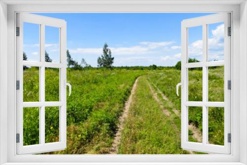Fototapeta Naklejka Na Ścianę Okno 3D - Wide green meadow