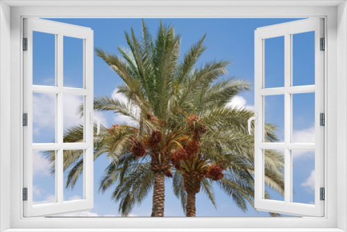 Fototapeta Naklejka Na Ścianę Okno 3D - Tropical summer