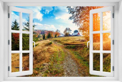 Fototapeta Naklejka Na Ścianę Okno 3D - Morning in Carpathians mountain Transylvania
