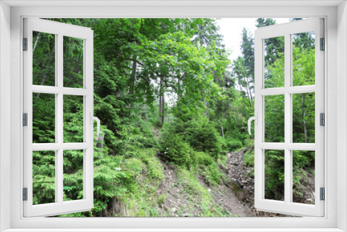 Fototapeta Naklejka Na Ścianę Okno 3D - Green forest hills