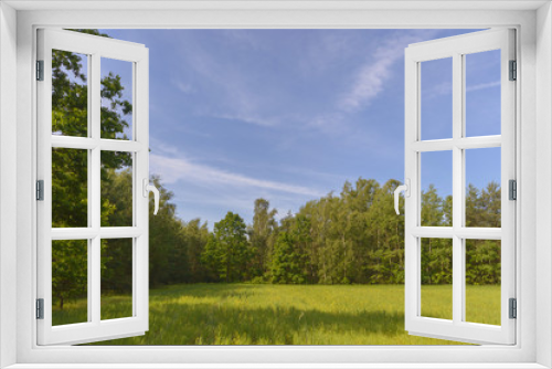Fototapeta Naklejka Na Ścianę Okno 3D - meadow