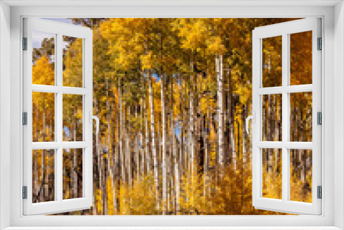 Fototapeta Naklejka Na Ścianę Okno 3D - Forest of Yellow Aspens in the Fall