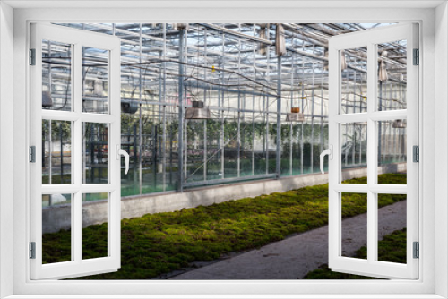 Fototapeta Naklejka Na Ścianę Okno 3D - Gardening greenhouse