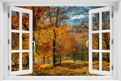 Fototapeta Naklejka Na Ścianę Okno 3D - tall trees on hillside with yellow and red foliage in autumn forest on sunny day