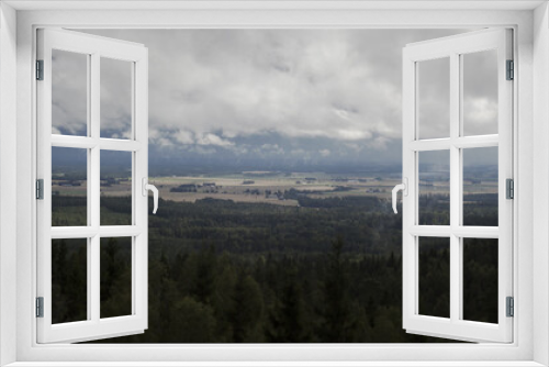 Fototapeta Naklejka Na Ścianę Okno 3D - Forest vapor