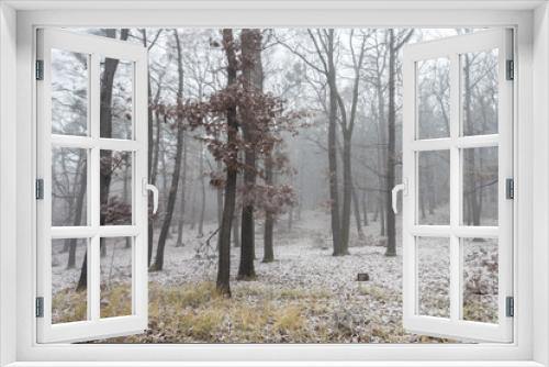 Fototapeta Naklejka Na Ścianę Okno 3D - Foggy Forest. First Snow in Autumn. Long Time Exposure.