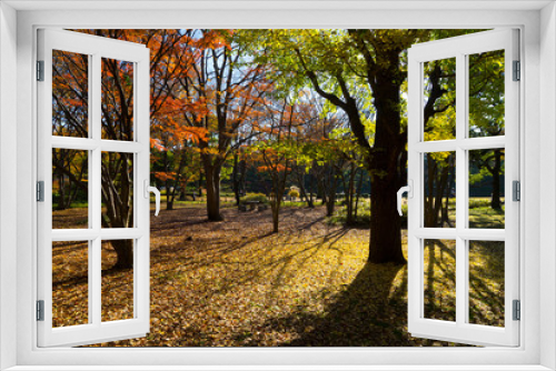 Fototapeta Naklejka Na Ścianę Okno 3D - 秋の公園
