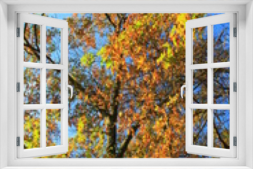 Fototapeta Naklejka Na Ścianę Okno 3D - oak sky