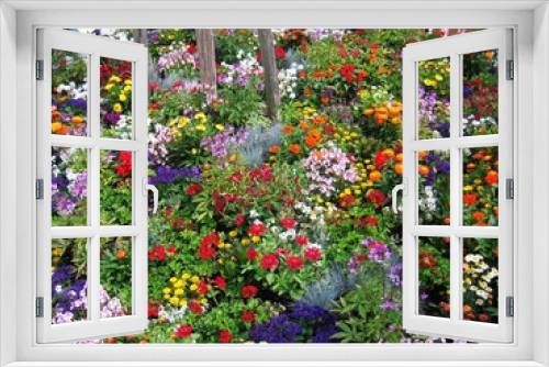 Fototapeta Naklejka Na Ścianę Okno 3D - Wunderschönes und farbenfrohes Blumenbeet