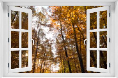 Fototapeta Naklejka Na Ścianę Okno 3D - Herbst im Wald