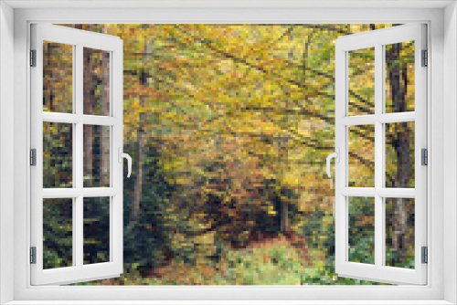 Fototapeta Naklejka Na Ścianę Okno 3D - Autumn trees in the forest