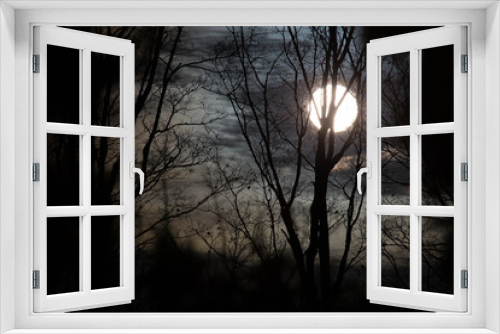 Fototapeta Naklejka Na Ścianę Okno 3D - Full Moon Peeking Through Branches
