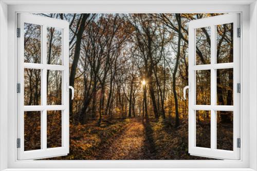Fototapeta Naklejka Na Ścianę Okno 3D - Herbstlicht