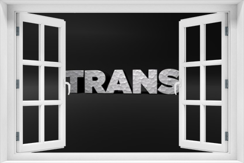 TRANS - hammered metal finish text on black studio - 3D rendered royalty free stock photo. This image can be used for an online website banner ad or a print postcard.