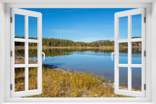 Fototapeta Naklejka Na Ścianę Okno 3D - Clear blue lake. Golden autumn forest. Grand Teton National Park, Wyoming, USA