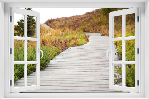Fototapeta Naklejka Na Ścianę Okno 3D - Fall Wooden Walkway