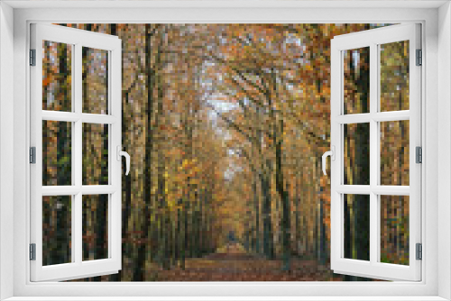 Fototapeta Naklejka Na Ścianę Okno 3D - Waldweg mit Herbstlaub