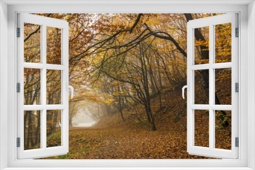 Fototapeta Naklejka Na Ścianę Okno 3D - Autumn landscape with Fog in the yellow forest, Vitosha Mountain, Sofia City Region, Bulgaria