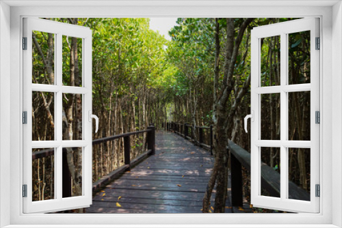 Fototapeta Naklejka Na Ścianę Okno 3D - Natural mangrove walkway. Thailand travel.