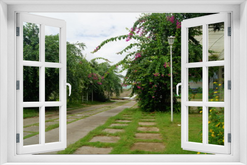Fototapeta Naklejka Na Ścianę Okno 3D - path in a botanical garden