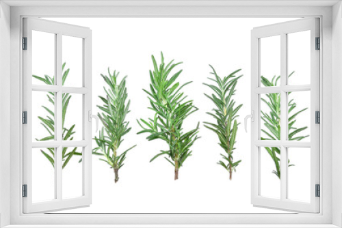 Fototapeta Naklejka Na Ścianę Okno 3D - rosemary isolated on white background