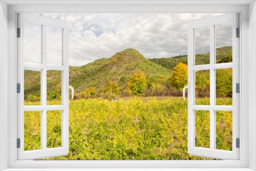Fototapeta Naklejka Na Ścianę Okno 3D - Vineyards in french countryside, Drome, Clairette de Die