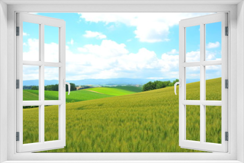 Fototapeta Naklejka Na Ścianę Okno 3D - Green Fields Landscape