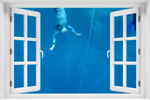 Fototapeta Naklejka Na Ścianę Okno 3D - In the beggining of the dive