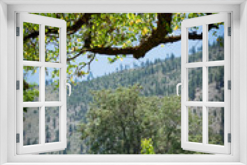 Fototapeta Naklejka Na Ścianę Okno 3D - Carson Valley