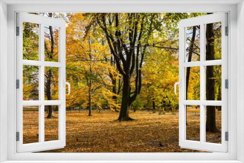 Fototapeta Naklejka Na Ścianę Okno 3D - Colorful autumn Planty park in Krakow