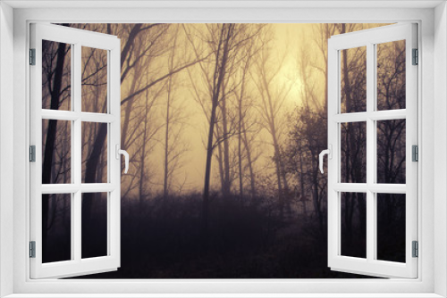Fototapeta Naklejka Na Ścianę Okno 3D - Mystic forest a foggy day
