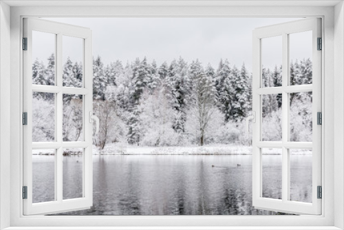 Fototapeta Naklejka Na Ścianę Okno 3D - White winter landscape lake in the forest