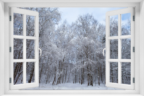Fototapeta Naklejka Na Ścianę Okno 3D - winter forest in snow

