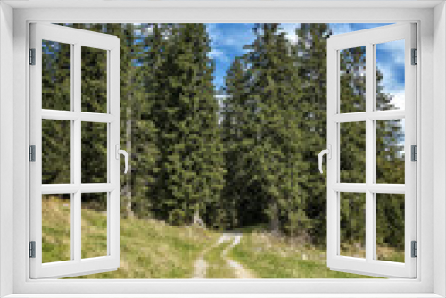 Fototapeta Naklejka Na Ścianę Okno 3D - Path to green forest
