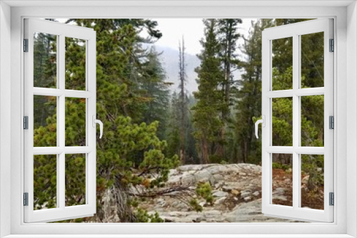 Fototapeta Naklejka Na Ścianę Okno 3D - Rainy Day in Upper Yosemite