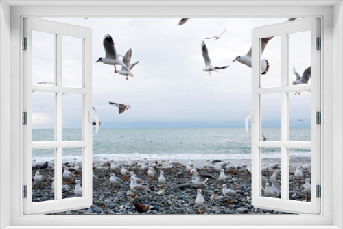 Fototapeta Naklejka Na Ścianę Okno 3D - seagulls on the sea