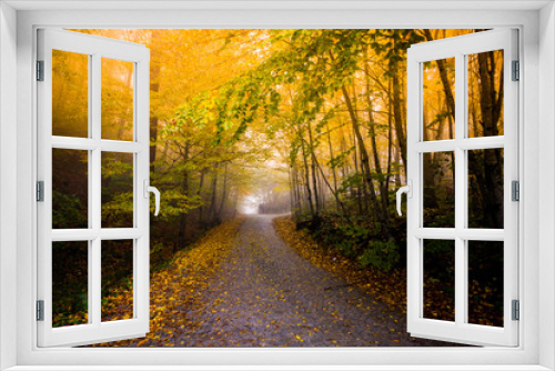 Fototapeta Naklejka Na Ścianę Okno 3D - Autumn landscape image