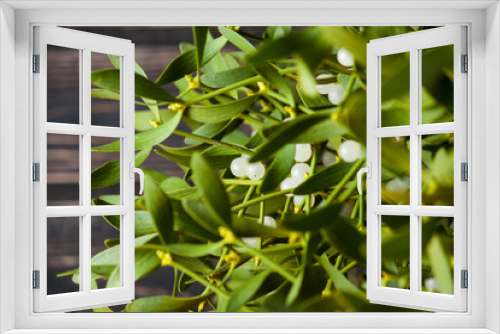 Fototapeta Naklejka Na Ścianę Okno 3D - Green mistletoe close up. 