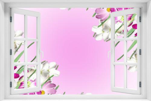 Fototapeta Naklejka Na Ścianę Okno 3D - Beautiful floral background of white daffodils and pink cosmo 