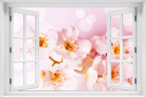 Fototapeta Naklejka Na Ścianę Okno 3D - Floral wallpaper. Cherry tree  flowers in blossom , Soft blurred style with special colored and light effects