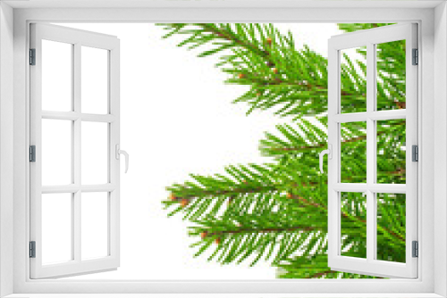 Fototapeta Naklejka Na Ścianę Okno 3D - Christmas green framework isolated on white background