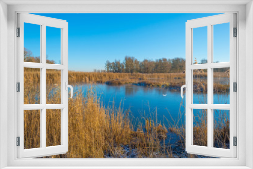 Fototapeta Naklejka Na Ścianę Okno 3D - Shore of a frozen lake in sunlight in winter