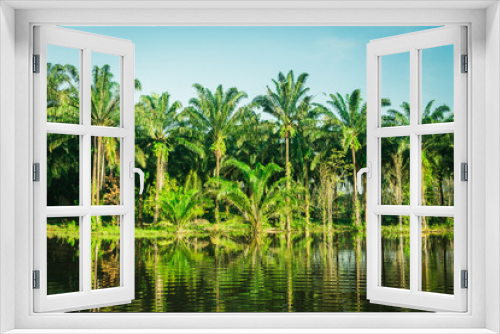 Fototapeta Naklejka Na Ścianę Okno 3D - landscape of  palm garden , plantation