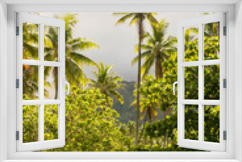 Fototapeta Naklejka Na Ścianę Okno 3D - palmier et verdure