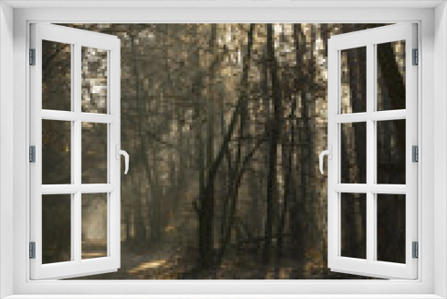 Fototapeta Naklejka Na Ścianę Okno 3D - Nebliger Winterwald mit Sonnenstrahlen