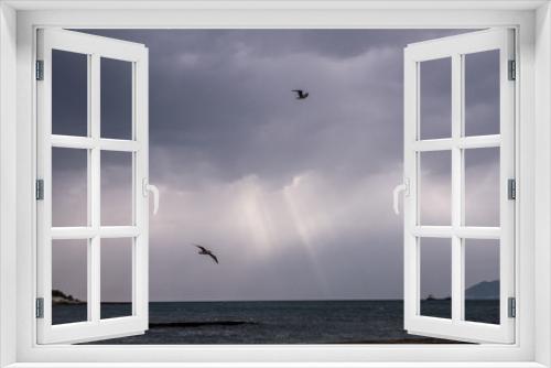 Fototapeta Naklejka Na Ścianę Okno 3D - Flying seagull