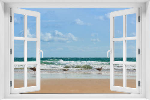 Fototapeta Naklejka Na Ścianę Okno 3D - Horizontal Sea View with seagulls, Low Angle