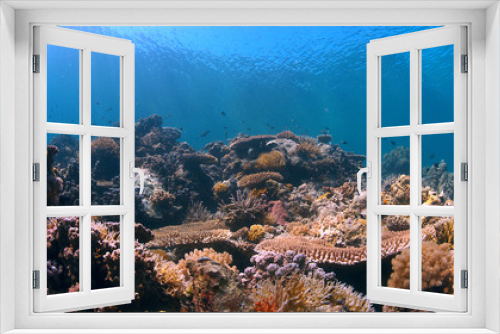 Fototapeta Naklejka Na Ścianę Okno 3D - Colorful coral reef with plenty fish.
