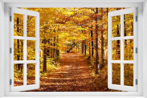 Fototapeta Naklejka Na Ścianę Okno 3D - Herbstpanorama