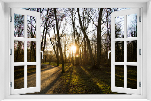 Fototapeta Naklejka Na Ścianę Okno 3D - Englischer Garten im Herbst - Sonnenschein
